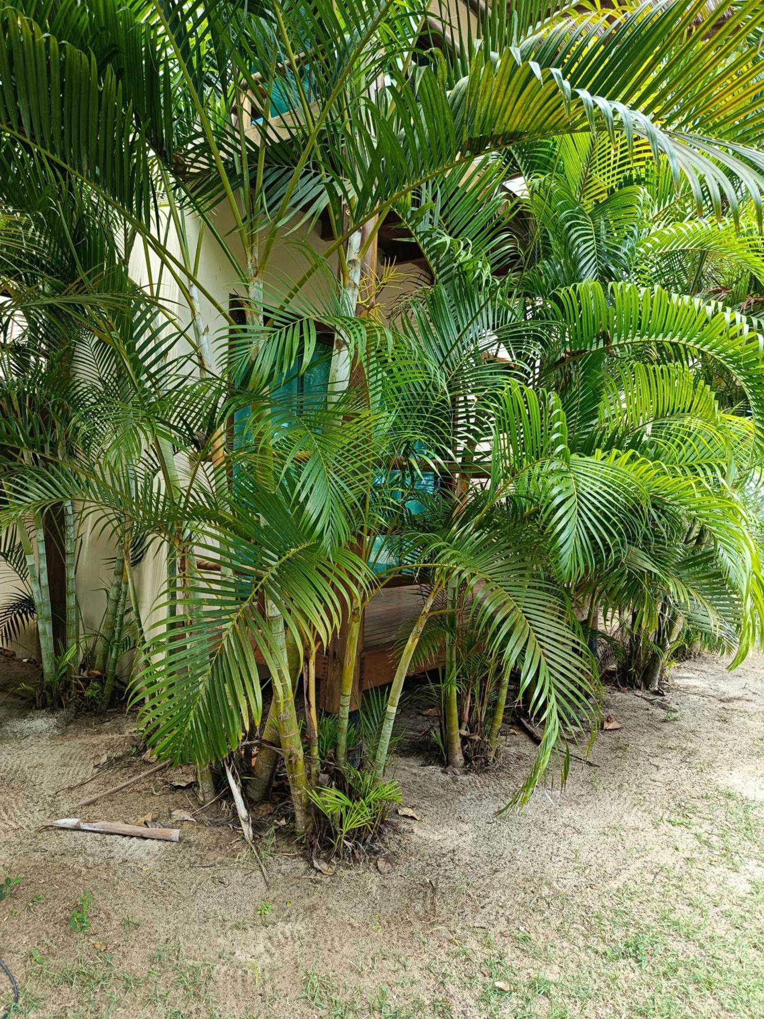 Pousada Mare Cumuruxatiba Luaran gambar